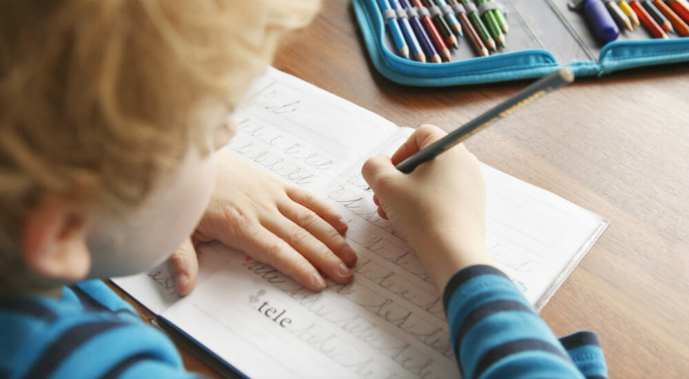 Italiano a scuola: cosa non hanno capito i 600 firmatari dell’appello al governo