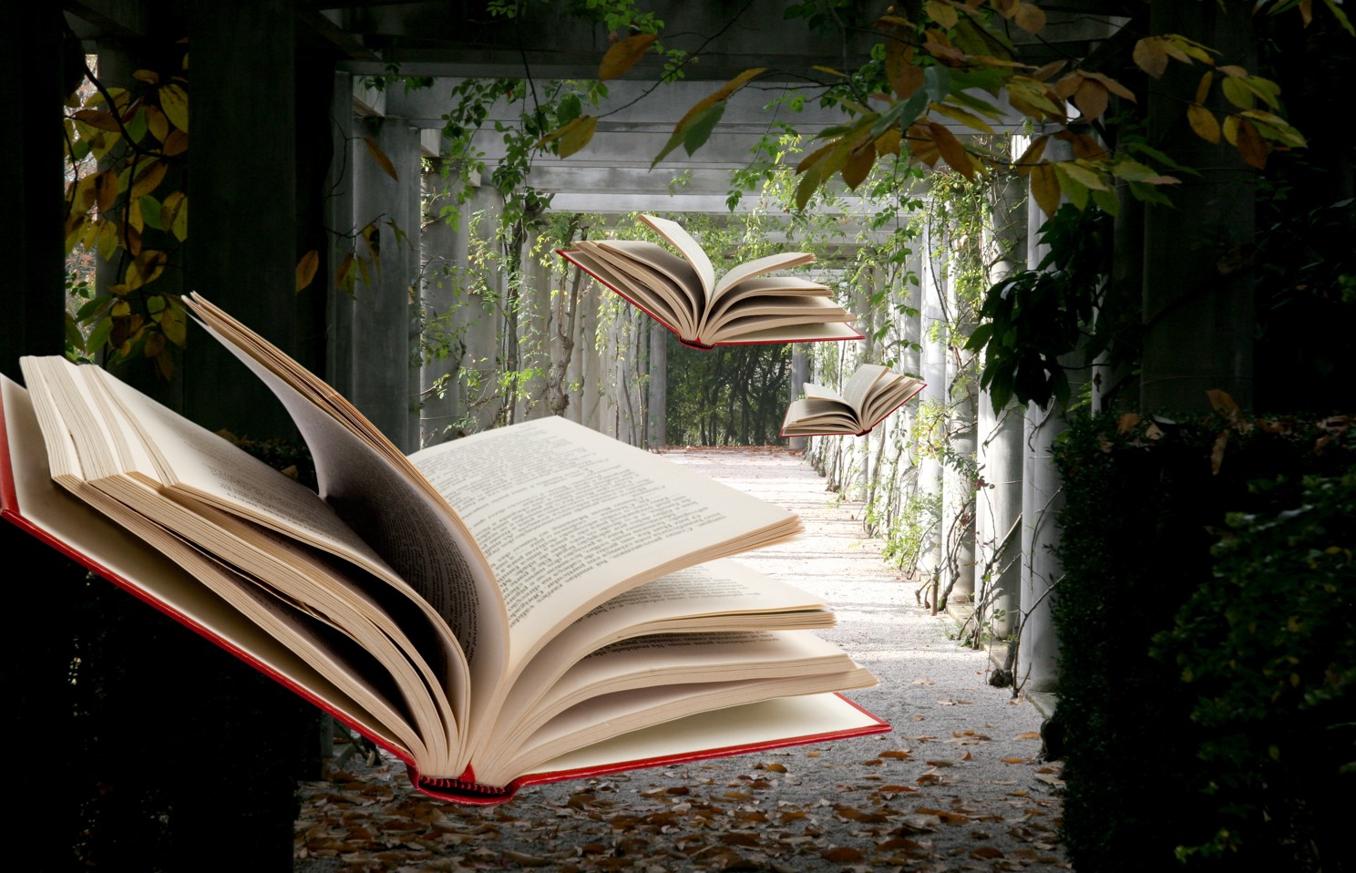 I libri fantasy stanno cambiando: alcuni consigli di lettura innovativi